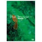 live image + -010531 【DVD】