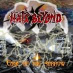 HATE BEYOND／CAGE OF THE SORROW 【CD】