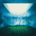 Nothing’s Carved In Stone／MAZE 【CD】