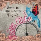 パイレーツ・カヌー／ホワット・ドゥー・ウィ・ハフ・トゥ・プルーヴ 【CD】