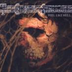 ザ・クラシック・ストラグル／フィール・ライク・ヘル 【CD】