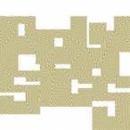 POLYSICS／Absolute POLYSICS(初回限定) 【CD+DVD】