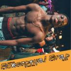 shotahirama／Conceptual Crap Vol.4 【CD】