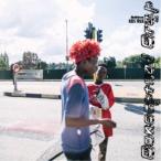 shotahirama／Conceptual Crap Vol.5 【CD】