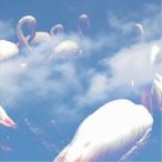 Merzbow／kaoscitron 【CD】