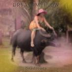 Beadroads／DRY AND MELLOW 【CD】