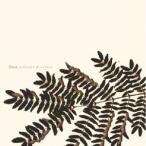 flica／Windvane ＆ Window 【CD】