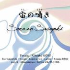 上野律子 上野哲生／宙の囁き 【CD】