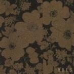 DOES／三月 【CD】