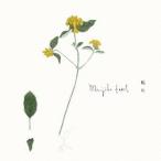 Mujika Easel／眺め 【CD】