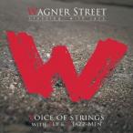 VOICE OF STRINGS with ALY ＆ Z JAZZ-MEN／WAGNER STREET crossing with jazz 【CD】