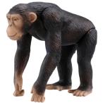 アニア AS-14 チンパンジー おもちゃ こども 子供 男の子 3歳