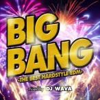 DJ WAVA／BIG BANG -THE BEST HARDSTYLE EDM- mixed by DJ WAVA 【CD】