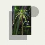 Stefan Jos／Primitives 【CD】