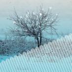 Chihei Hatakeyama／Winter Storm 【CD】