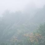 Chihei Hatakeyama／Mist 【CD】