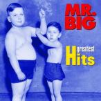 MR.BIG／MR.BIG グレイテスト・ヒッツ (期間限定) 【CD】