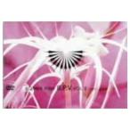 BONNIE PINK/B.P.V.vol.2(1999〜2003) 【DVD】