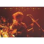 BONNIE PINK／TOUR 2005 Golden Tears 【DVD】