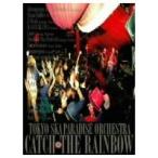 CATCH THE RAINBOW (初回限定) 【DVD】