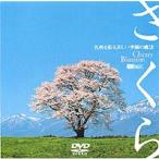 シンフォレストDVD さくら 〜名所を彩る美しい季節の魔法〜 Cherry Blossom 【DVD】
