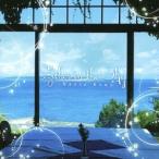河野直人／ツィター・イン・ザ・スカイ 【CD】