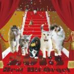 (オルゴール)／2013 BEST ヒット・オルゴール 【CD】