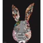 TAMURAPAN／tamuLAPIN 【CD】