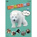 動物の赤ちゃん ドキドキ編 【DVD】
