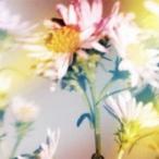 Plastic Tree/シオン 【CD】