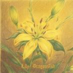 Dragon Ash／Lily(初回限定) 【CD】