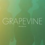 GRAPEVINE／Burning tree 【CD】