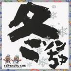 DJ SASA with THE ISLANDERS／冬ソンちゅ 【CD】