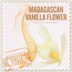 Nature Notes／SCENTS OF THE WORLD MADAGASCAN VANILLA FLOWER 【CD】