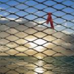 Yahoo! Yahoo!ショッピング(ヤフー ショッピング)BEGIN／網にも掛からん別れ話 【CD】