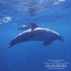 中田悟／海洋の島、小笠原 【CD】