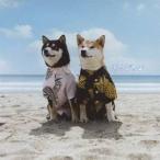 Yahoo! Yahoo!ショッピング(ヤフー ショッピング)キマグレン／リメンバー 【CD】