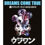 DREAMS COME TRUE／裏ドリワンダーランド 2012／2013 【Blu-ray】