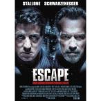 大脱出 【DVD】