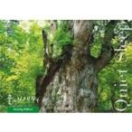 Yahoo! Yahoo!ショッピング(ヤフー ショッピング)音のソノリティ ヒーリング・エディション Quiet Sleep 【DVD】