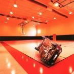 WHITE ASH／Velocity (初回限定) 【CD】