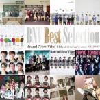 Brand New Vibe／BNV Best Selection 【CD】