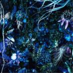 SUGIZO／ONENESS M《通常盤》 【CD】