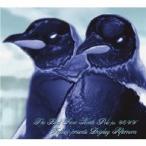 Katchin’ presents DOGDAY AFTERNOON feat.WOWW／A Bird From North Pole feat.WOWW 【CD】