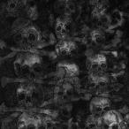 The Secret／AGNUS DEI 【CD】
