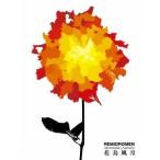 ショッピングforever21 レミオロメン／10th Anniversary TOUR 2010 花鳥風月 【DVD】