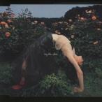 globe／try this shoot 【CD】