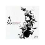 Yahoo! Yahoo!ショッピング(ヤフー ショッピング)SKA EVANGELISTS ON THE RUN 【DVD】
