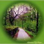 バリー・スパークス／幻想紀行〜森への誘(いざない)い〜 【CD】