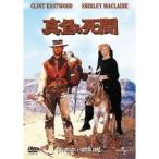  подлинный днем. ..[DVD]